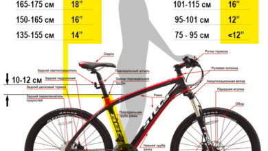 Photo of Особенности выбора мужского велосипеда