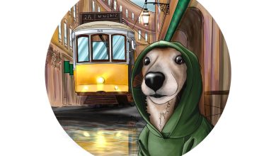 Photo of Тематические вечеринки для домашних животных